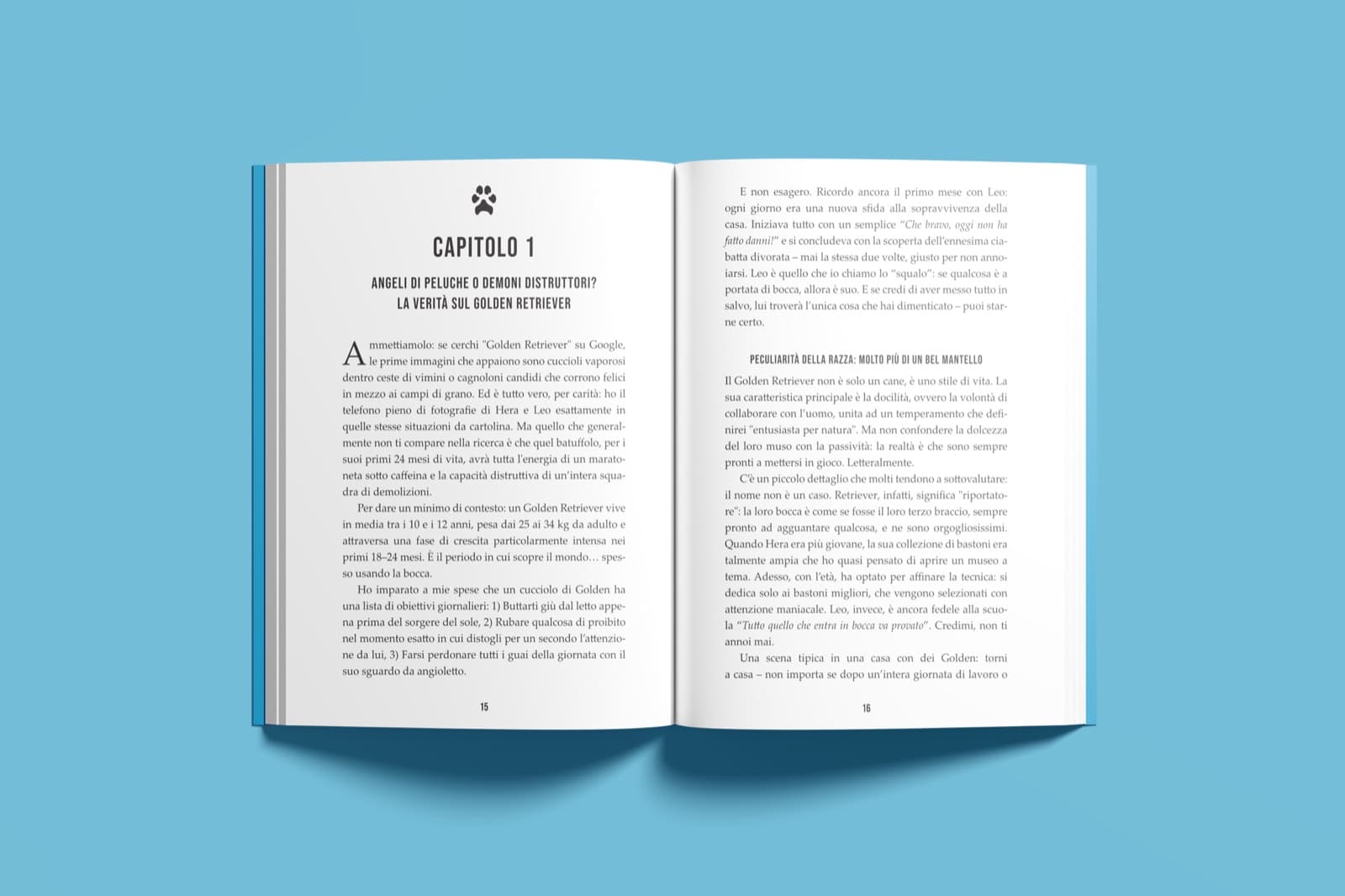 The book open at the first chapter