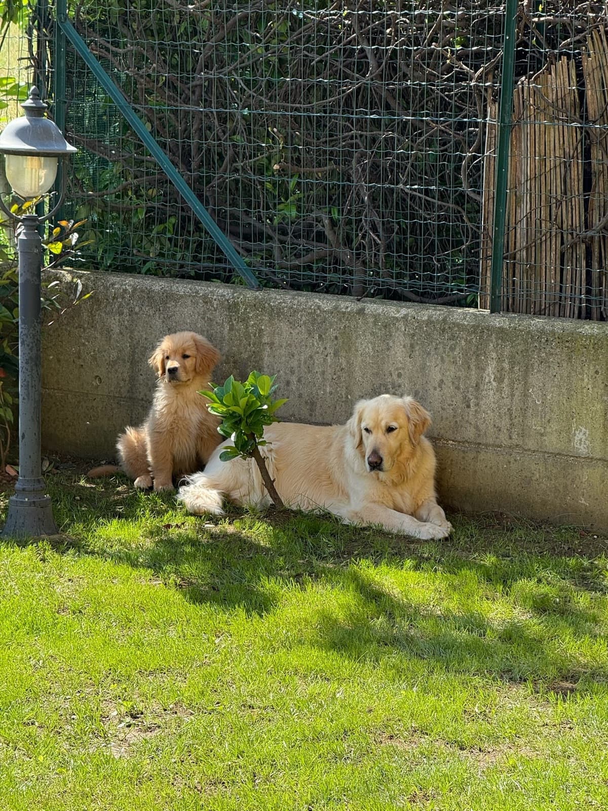 Total relaxation in the garden.