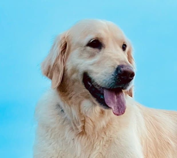 Hera